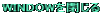 WINDOW���� 